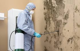 Professional Mold Removal & Remediation in Pleasant Run, OH